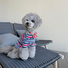 画像をギャラリービューアに読み込む, 組み編みカラー(赤)