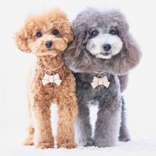 画像をギャラリービューアに読み込む, リボン(ヌメ革)