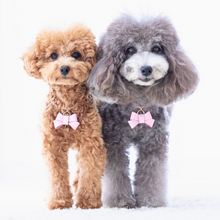 画像をギャラリービューアに読み込む, リボン(ピンク)