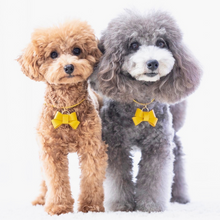 画像をギャラリービューアに読み込む, リボン(黄色)