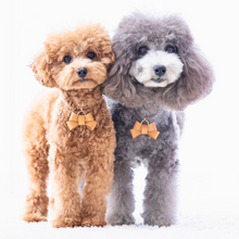 画像をギャラリービューアに読み込む, リボン(キャメル)