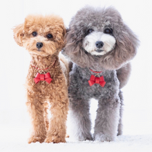 画像をギャラリービューアに読み込む, リボン(赤)