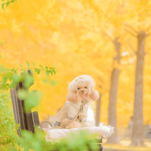 画像をギャラリービューアに読み込む, 組み編みカラー(グレージュ)