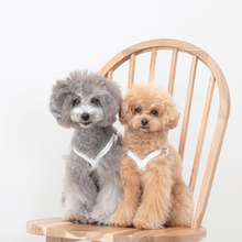 画像をギャラリービューアに読み込む, 組み編みハーネス