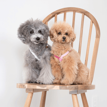 画像をギャラリービューアに読み込む, 組み編みハーネス