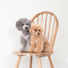 画像をギャラリービューアに読み込む, 組み編みハーネス