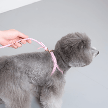 画像をギャラリービューアに読み込む, 組み編みハーネス