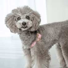 画像をギャラリービューアに読み込む, 組み編みハーネス