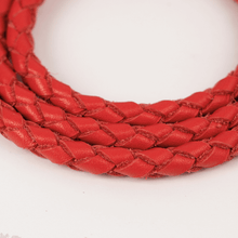 画像をギャラリービューアに読み込む, 組み編みリード(赤)