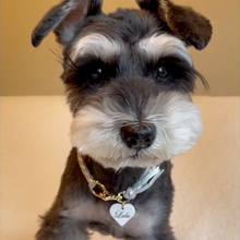 画像をギャラリービューアに読み込む, 組み編みカラー(シルバー)