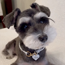 画像をギャラリービューアに読み込む, 組み編みカラー(シルバー)