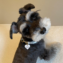 画像をギャラリービューアに読み込む, 組み編みカラー(シルバー)