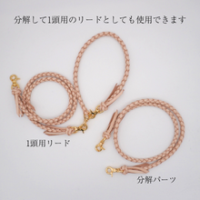 画像をギャラリービューアに読み込む, 2頭引きリード_type1