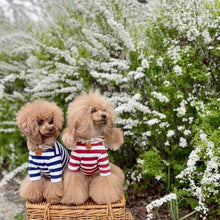 画像をギャラリービューアに読み込む, 組み編みカラー(ヌメ)