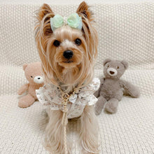 画像をギャラリービューアに読み込む, 組み編みリード(ベージュ)