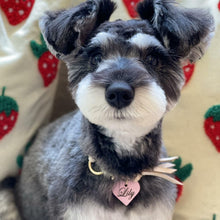 画像をギャラリービューアに読み込む, ネームチャーム(ピンク)