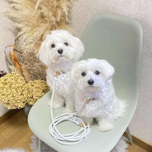 画像をギャラリービューアに読み込む, 組み編みリード(白)