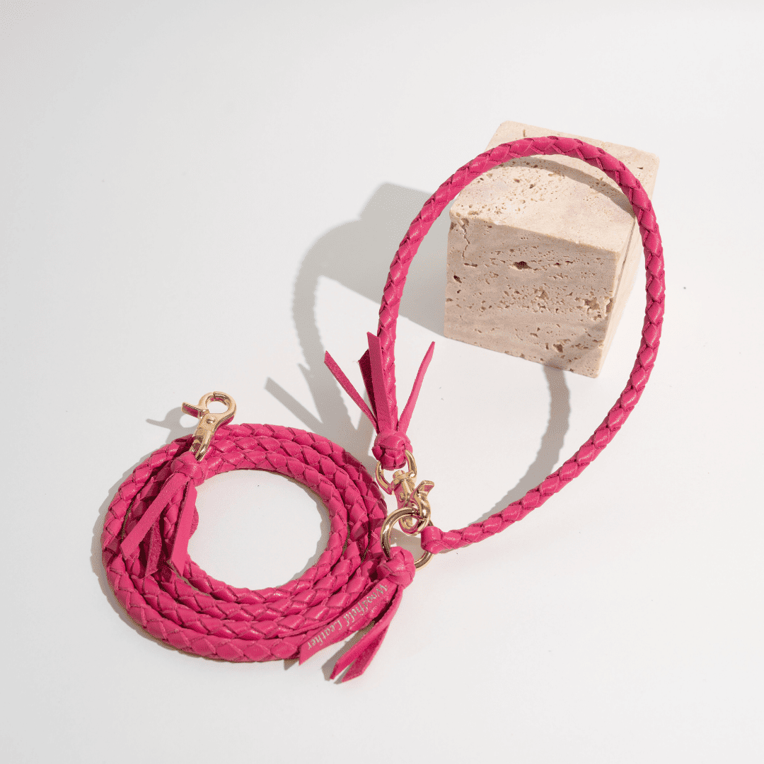 本革の犬用リード おしゃれで人気 可愛いおすすめレザー(ショッキング