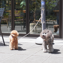 画像をギャラリービューアに読み込む, 2頭引きリード_type1