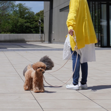 画像をギャラリービューアに読み込む, 2頭引きリード_type1