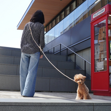 画像をギャラリービューアに読み込む, ショルダーリード