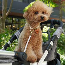 画像をギャラリービューアに読み込む, 組み編みカート用リード