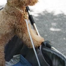 画像をギャラリービューアに読み込む, 組み編みカート用リード