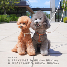 画像をギャラリービューアに読み込む, ハーネス(白)