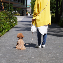 画像をギャラリービューアに読み込む, ショルダーリード