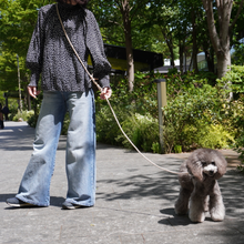 画像をギャラリービューアに読み込む, ショルダーリード