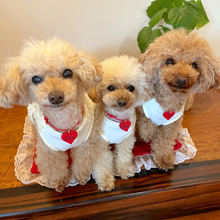 画像をギャラリービューアに読み込む, ネームチャーム(赤)