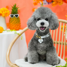 画像をギャラリービューアに読み込む, 組み編みカラー(白)