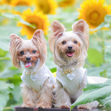 画像をギャラリービューアに読み込む, 組み編みカラー(白)