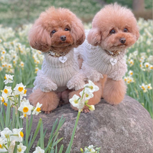 画像をギャラリービューアに読み込む, 組み編みカラー(白)