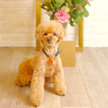 画像をギャラリービューアに読み込む, 組み編みカラー(ネイビー)