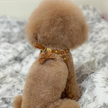 画像をギャラリービューアに読み込む, ハーネス(キャメル)