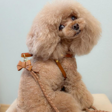 画像をギャラリービューアに読み込む, ハーネス(キャメル)