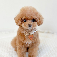 画像をギャラリービューアに読み込む, 組み編みカラー(ヌメ)