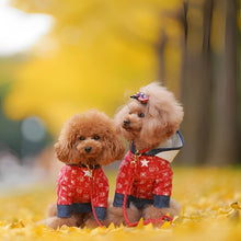 画像をギャラリービューアに読み込む, 組み編みリード(赤)