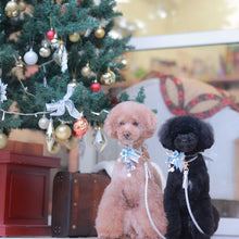 画像をギャラリービューアに読み込む, 組み編みリード(シルバー)