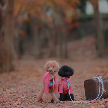 画像をギャラリービューアに読み込む, 組み編みカラー(シルバー)