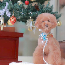 画像をギャラリービューアに読み込む, 組み編みリード(シルバー)