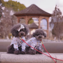 画像をギャラリービューアに読み込む, 組み編みリード(赤)