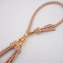 画像をギャラリービューアに読み込む, 2頭引きリード_type1