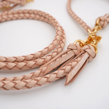 画像をギャラリービューアに読み込む, 2頭引きリード_type1