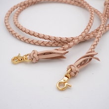 画像をギャラリービューアに読み込む, 2頭引きリード_type1