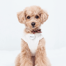 画像をギャラリービューアに読み込む, 組み編みカラー(スローンクリムゾン)※季節限定