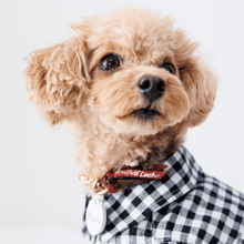 画像をギャラリービューアに読み込む, 組み編みカラー(スローンクリムゾン)※季節限定