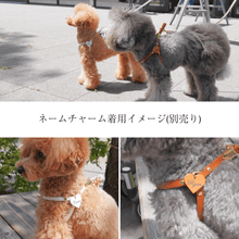 画像をギャラリービューアに読み込む, ハーネス(白)