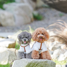 画像をギャラリービューアに読み込む, ハーネス(キャメル)